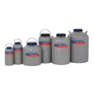 Cryogenic storage